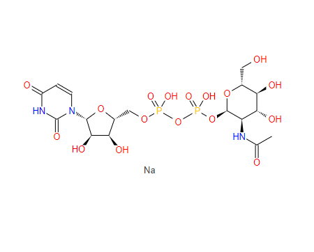5′-二磷酸尿嘧啶核苷-N-乙酰半乳糖胺二鈉鹽CAS: 91183-98-1